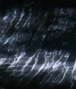 水